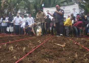 Pemkab Solok Selatan