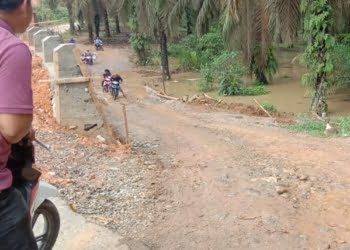 Jembatan Ranah Palabi