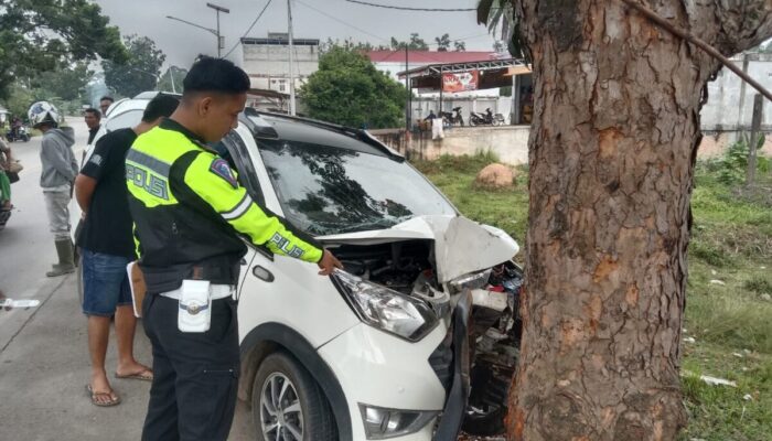 Hendak Dahului Dump Truk, Minibus Tabrak Pohon di Jalinsum Dharmasraya