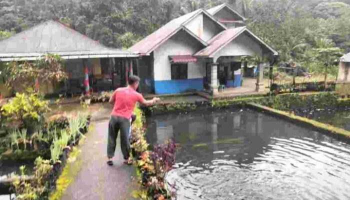 Babinsa Koramil 05/X Koto Motivasi Warga Jorong Aia Mancua Ternak Ikan Nila