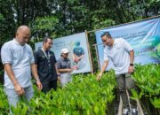 Telkomsel Jaga Bumi, Luncurkan Program Carbon Offset
