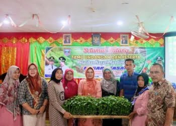 Dorong Penguatan Ketahanan Pangan, Nagari Sasak Latih Dasawisma Berkebun Sayur di Perkarangan Rumah