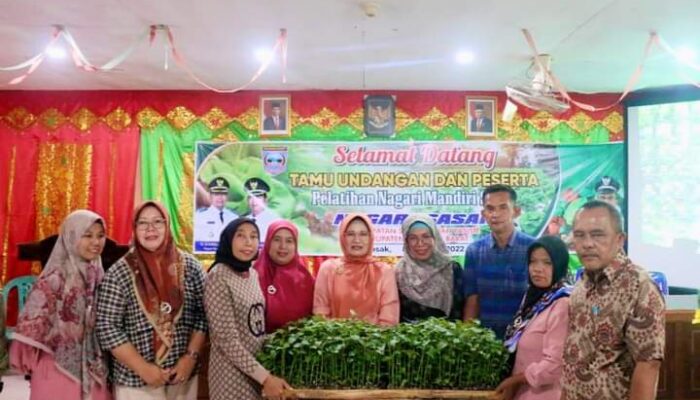 Dorong Penguatan Ketahanan Pangan, Nagari Sasak Latih Dasawisma Berkebun Sayur di Perkarangan Rumah