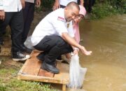 Wagub Audy Joinaldy Tebar 15.000 Ekor Bibit Ikan di Batang Mimpi Nagari Sikabau Dharmasraya