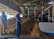 Pelanggan Premium Makin Menarik, Usaha Penggilingan Padi di Pasaman Beralih ke Listrik PLN