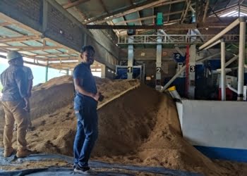 Pelanggan Premium Makin Menarik, Usaha Penggilingan Padi di Pasaman Beralih ke Listrik PLN