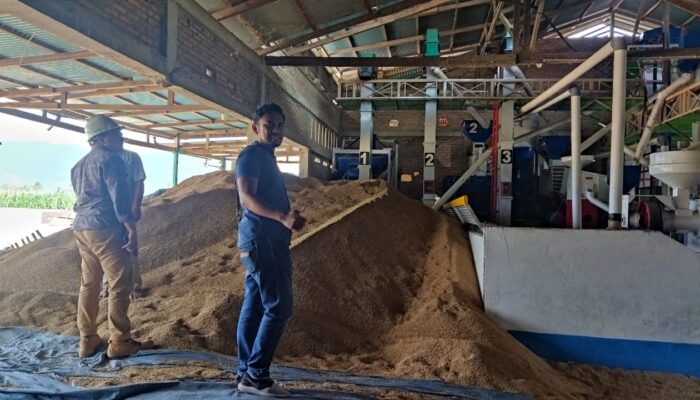 Pelanggan Premium Makin Menarik, Usaha Penggilingan Padi di Pasaman Beralih ke Listrik PLN