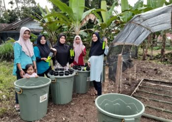 KWT Kampuang Pinang Galakan Budikdamber untuk Ketahanan Pangan Masyarakat