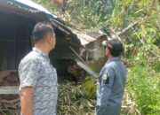 Musibah di Pagi Buta, Rumah Yusnimar Ambruk Ditimpa Pohon Durian Besar