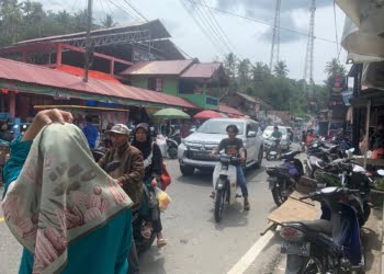 Arus Mudik Nataru Mulai Padat di Jalan Bukittinggi-Medan, Pengendara Diminta Waspada Lewati Palupuh