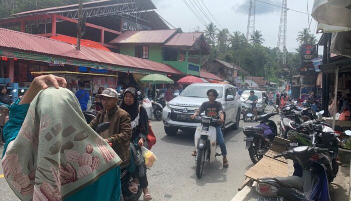 Arus Mudik Nataru Mulai Padat di Jalan Bukittinggi-Medan, Pengendara Diminta Waspada Lewati Palupuh