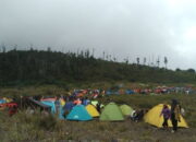 Pascaerupsi Gunung Kerinci, Gunung Talang Berstatus Normal