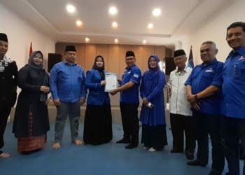 Partai Demokrat