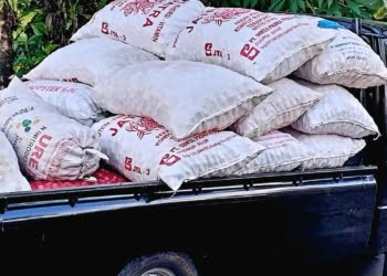 Nagari III Koto Aur Malintang