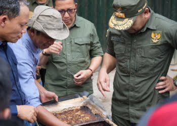 600 Bibit Pohon Jengkol Ditanam di Hutan Bonjol Pasaman