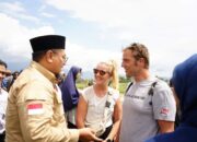 Naik Kelas! Pacu Jawi Tanah Datar Tak Lagi Sekedar Alek Nagari, Tapi Tujuan Wisata Turis Asing