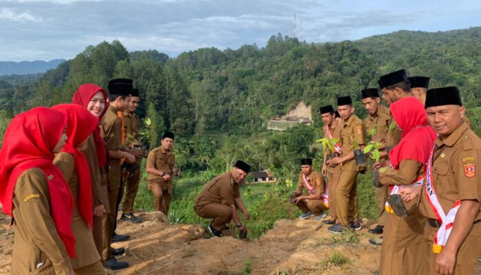 Awal Tahun Baru, Pemerintah Nagari Pasia Laweh Awali Kegiatan  Tanam 1.000 Pohon Asuh