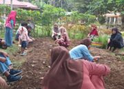 Setiap Minggu KWT WSTIM Goro, Syawirman: Manfaatkan Bantuan Tingkatkan Ekonomi Keluarga