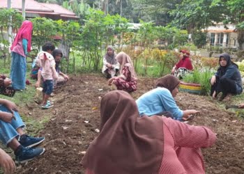 Setiap Minggu KWT WSTIM Goro, Syawirman: Manfaatkan Bantuan Tingkatkan Ekonomi Keluarga