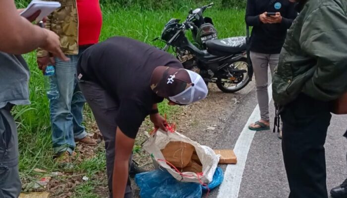 Beberapa Paket Besar Ganja Kering Berceceran di Jalan Raya Papuluh, Wali Nagari Minta Warga Aktif Melapor
