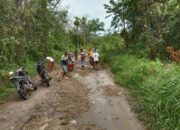 Warga Jorong Lubuak Tabuan Laksanakan Goro Pembersihan Jalan