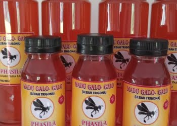 Words of Mouth, Strategi Jitu Promosikan Madu Galo Galo “PHASILA” Asli dari Nagari Pasie Laweh