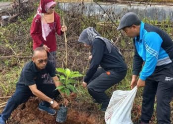 Cegah Abrasi, Kantor Camat Barangin Sawahlunto Dipagari Pohon Produktif