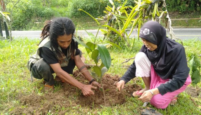 Awal Tahun 2023, Masyarakat Koto Rantang Terima Bibit Manggis Varietas Puspahiang
