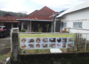 Kue Kering Rose Kembali Diproduksi Sambut Imlek 2023