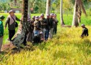 BPS Pasaman dan Wali Nagari Limo Koto Terjun Langsung dalam Panen Pengambilan KSA