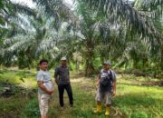 BUMNag Madani Lubuk Malako Siap Jadi Terbaik Tingkat Nasional