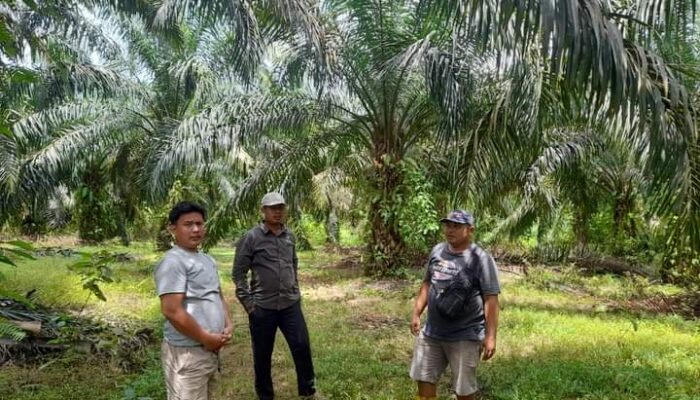 BUMNag Madani Lubuk Malako Siap Jadi Terbaik Tingkat Nasional