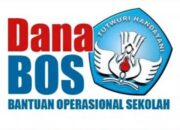 5.400 Murid SD Kecamatan IV Jurai Nikmati Pembinaan Ekstrakurikuler Gratis