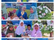 MIN 3 Padang Borong Berbagai Juara