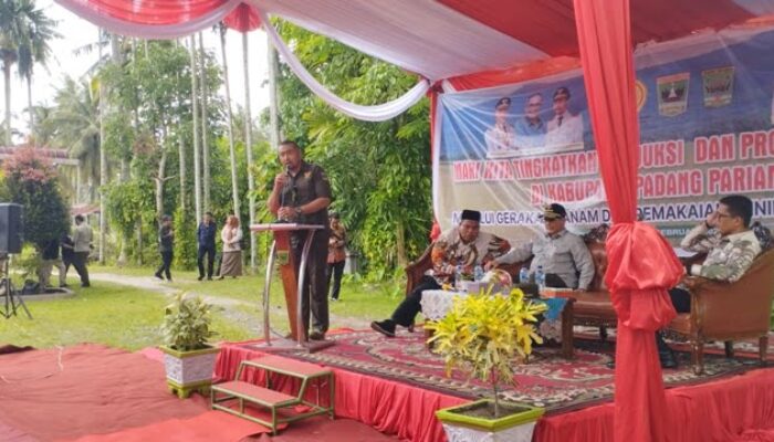 Petani Kesulitan, Wagub Sumbar Minta ke Wamentan Subsidi Pupuk Dihapuskan