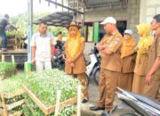 Tingkatkan Produksi Cabai, Dinas Pertanian Padang Salurkan Dua Bantuan