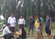 Diduga Pengedar Ganja, Dua Warga Pasbar Ditangkap