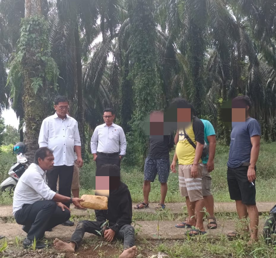 Tim Satresnarkoba Polres Pasaman Barat menangkap dua orang yang diduga menjadi pengedar narkotika jenis ganja yang sudah menjadi Target Operasi (TO). Osniwati