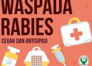 38 Kasus Gigitan Hewan Rabies Selama 2022 di Padang