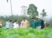 Pemkab Tanah Datar Jadikan Lereng Gunung Singgalang Sentra Jeruk Lemon