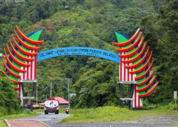 Dorong Potensi Ekonomi Pessel, Diperlukan Kolaborasi Lintas Sektor