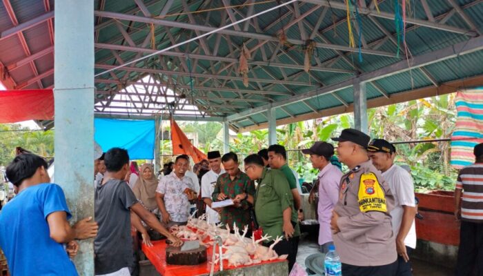 Wali Nagari Tabek Cek Harga Pangan di Pasar Pinang Makmur