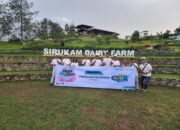 Tingkatkan Produksi Susu, Sirukam Dairy Farm Solok Tambah Daya Listrik Jadi 345 KVA