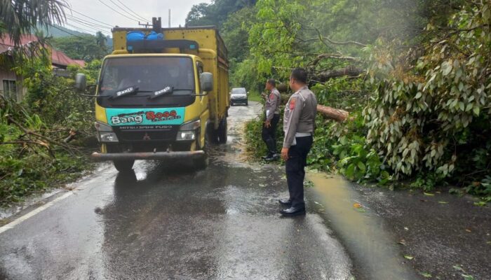 Curah Hujan Tinggi, Jalinsum Sialang Longsor