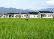 Satu Dekade Alami Perlambatan Ekonomi, Potensi Unggulan Dinilai Tak Mangkus Dongkrak Perekonomian Sumbar