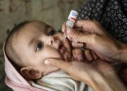 Sumbar Siaga Polio, Imunisasi Serentak Dimulai Hari Ini