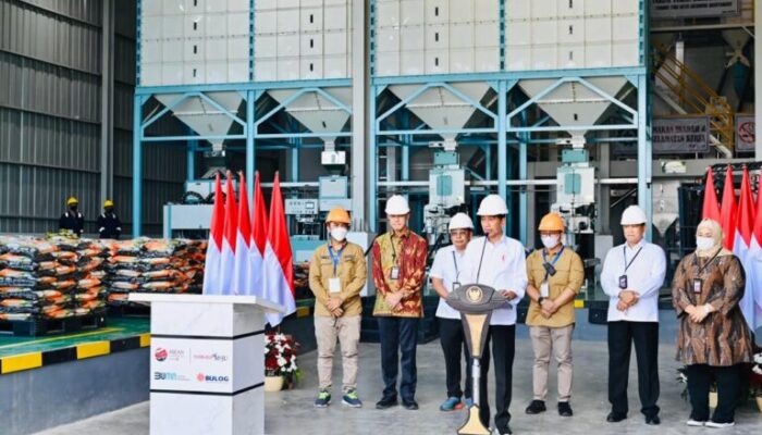 Panen Raya Padi, Presiden Jokowi Minta Bulog Serap Gabah Petani Sebanyak-banyaknya