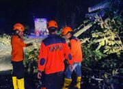 Jalan Lintas Sumbar-Riau Sudah Bisa Dilewati