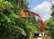 Rawan Gangguan, PLN ULP Lubuk Basung Pangkas Dahan Pohon di Sepanjangan Jaringan Listrik