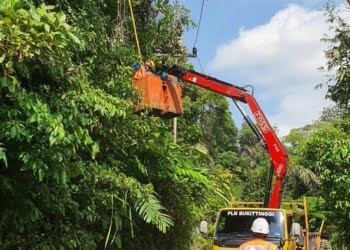 Rawan Gangguan, PLN ULP Lubuk Basung Pangkas Dahan Pohon di Sepanjangan Jaringan Listrik